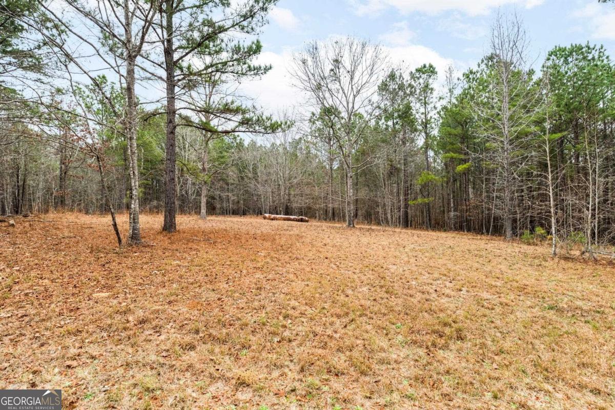 251 Winding River Road Eatonton, GA 31024 - Photo 5 of 15 a street view covered with snow