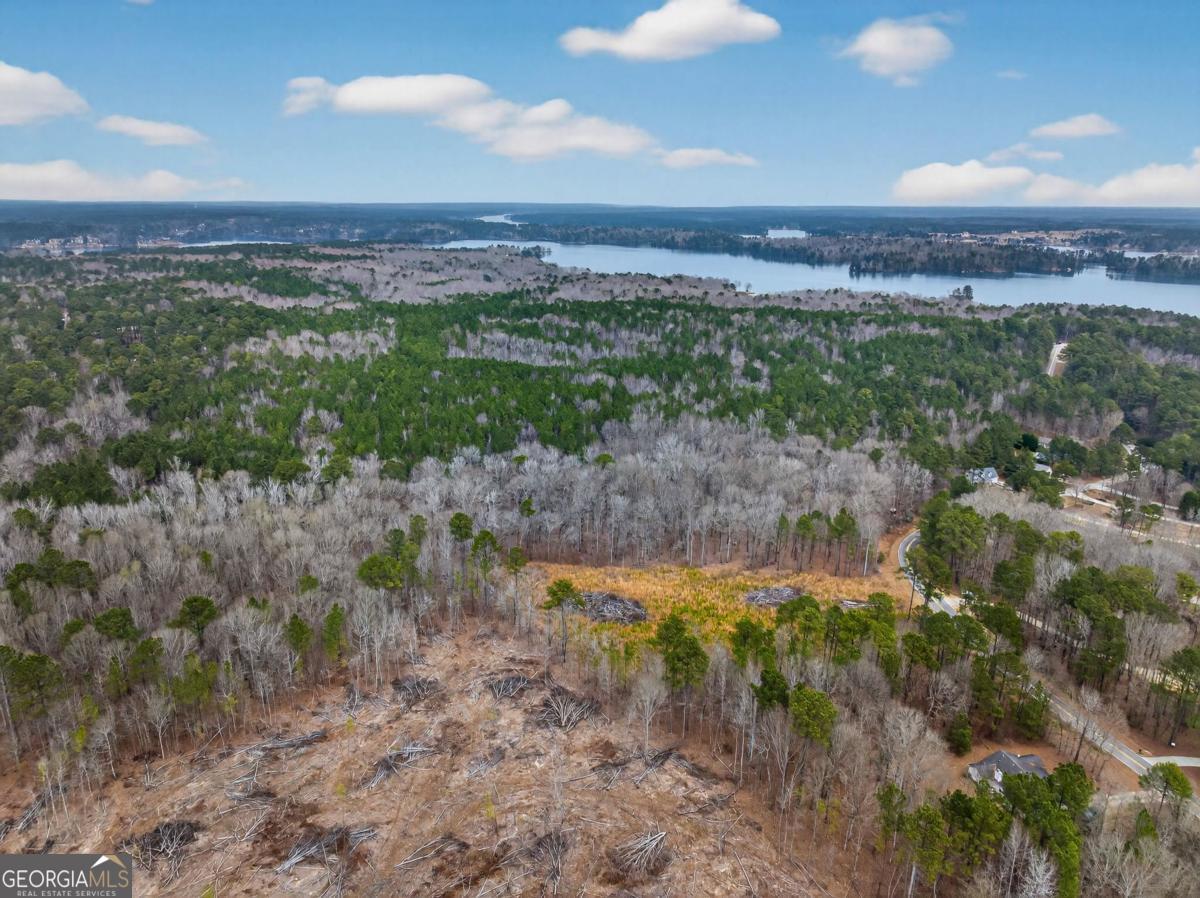 251 Winding River Road Eatonton, GA 31024 - Photo 7 of 15 a view of a lake with a city