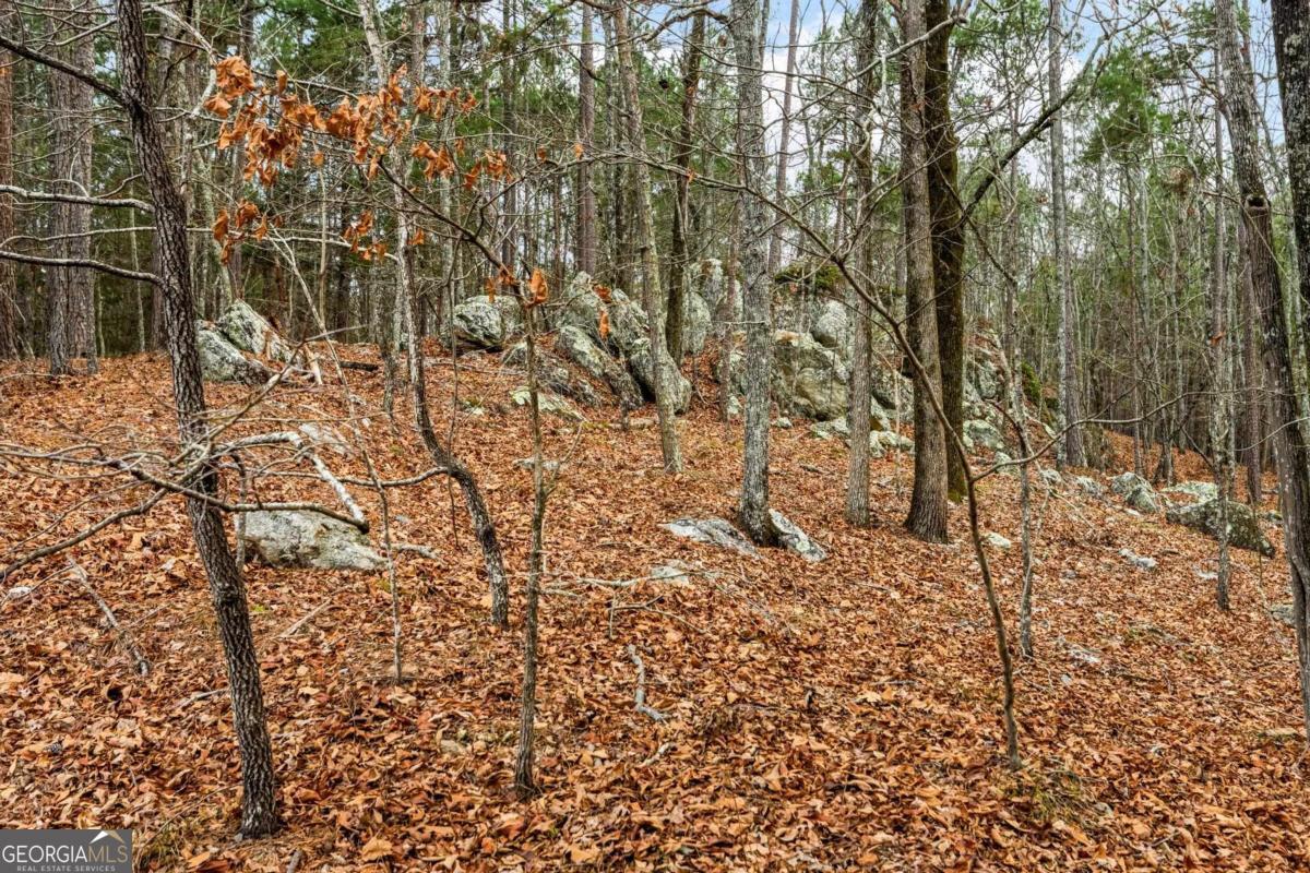 251 Winding River Road Eatonton, GA 31024 - Photo 8 of 15 a view of a yard of the house
