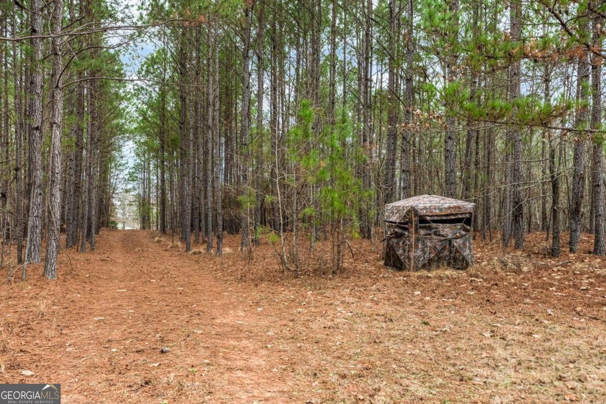 251 Winding River Road Eatonton, GA 31024 - Photo 9 of 15 a view of backyard with plants and trees