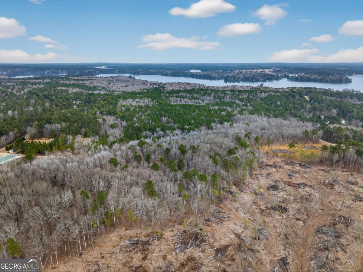 251 Winding River Road Eatonton, GA 31024 - Photo 10 of 15 a view of a yard with a street
