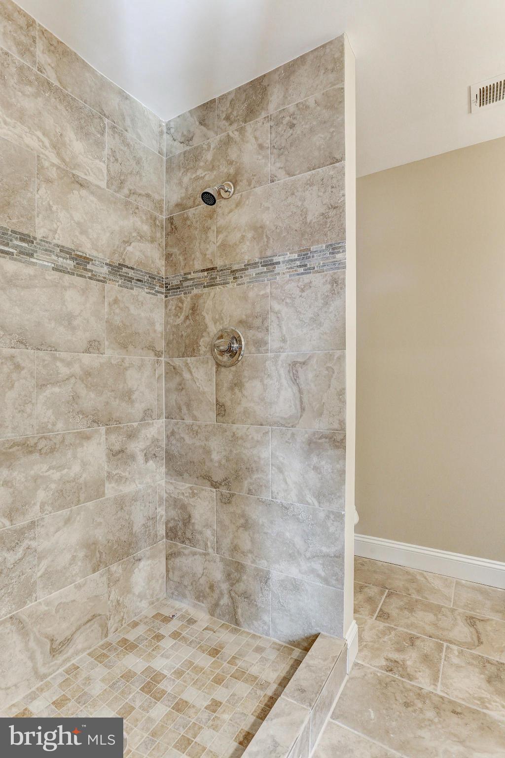 17425 Frederick Road Mount Airy, MD 21771 - Photo 15 of 27 Bath (Master)