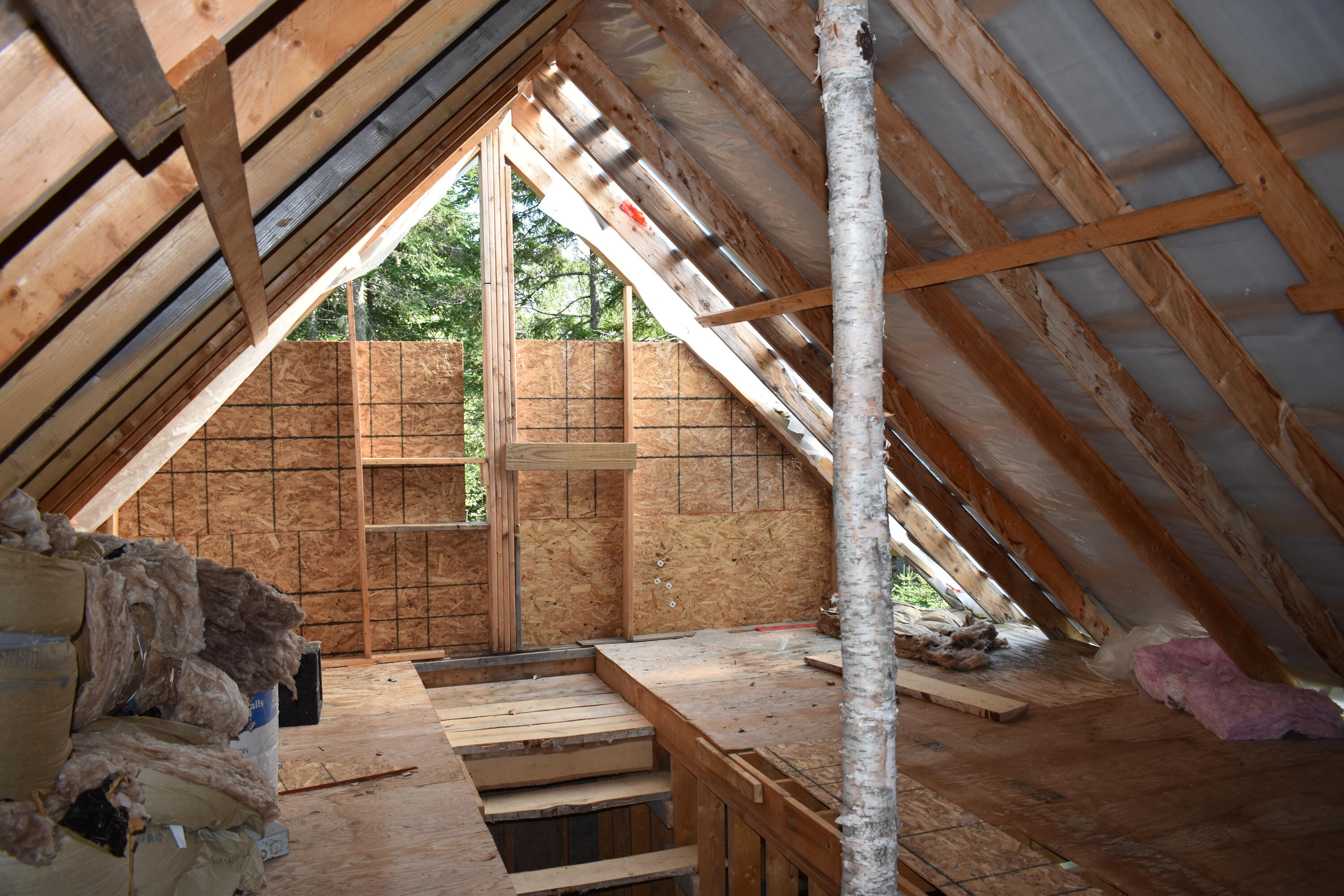 253 Pickle Ridge Road Springfield, ME 04487 - Photo 11 of 25 DSC_0368