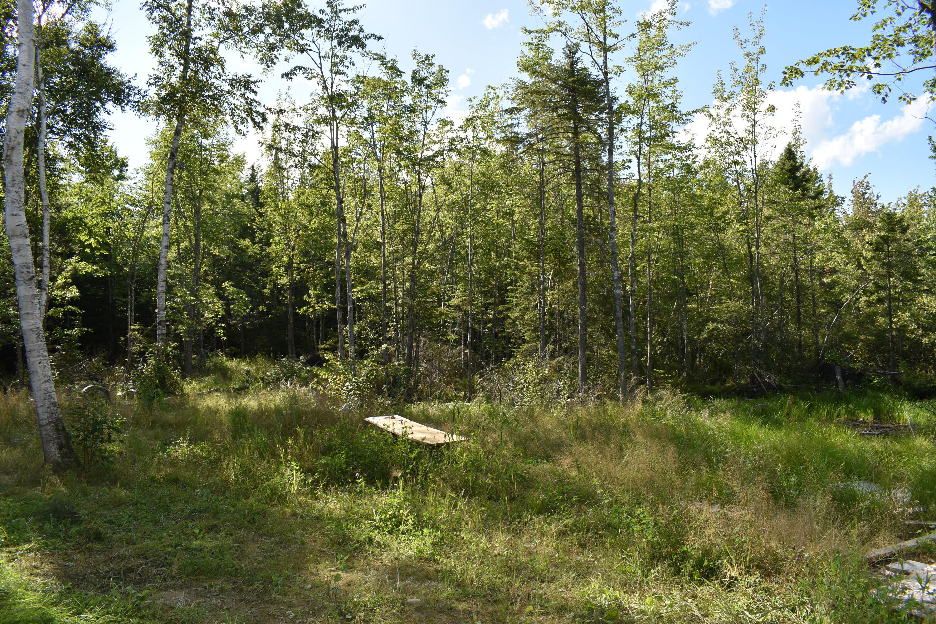 253 Pickle Ridge Road Springfield, ME 04487 - Photo 14 of 25 DSC_0371