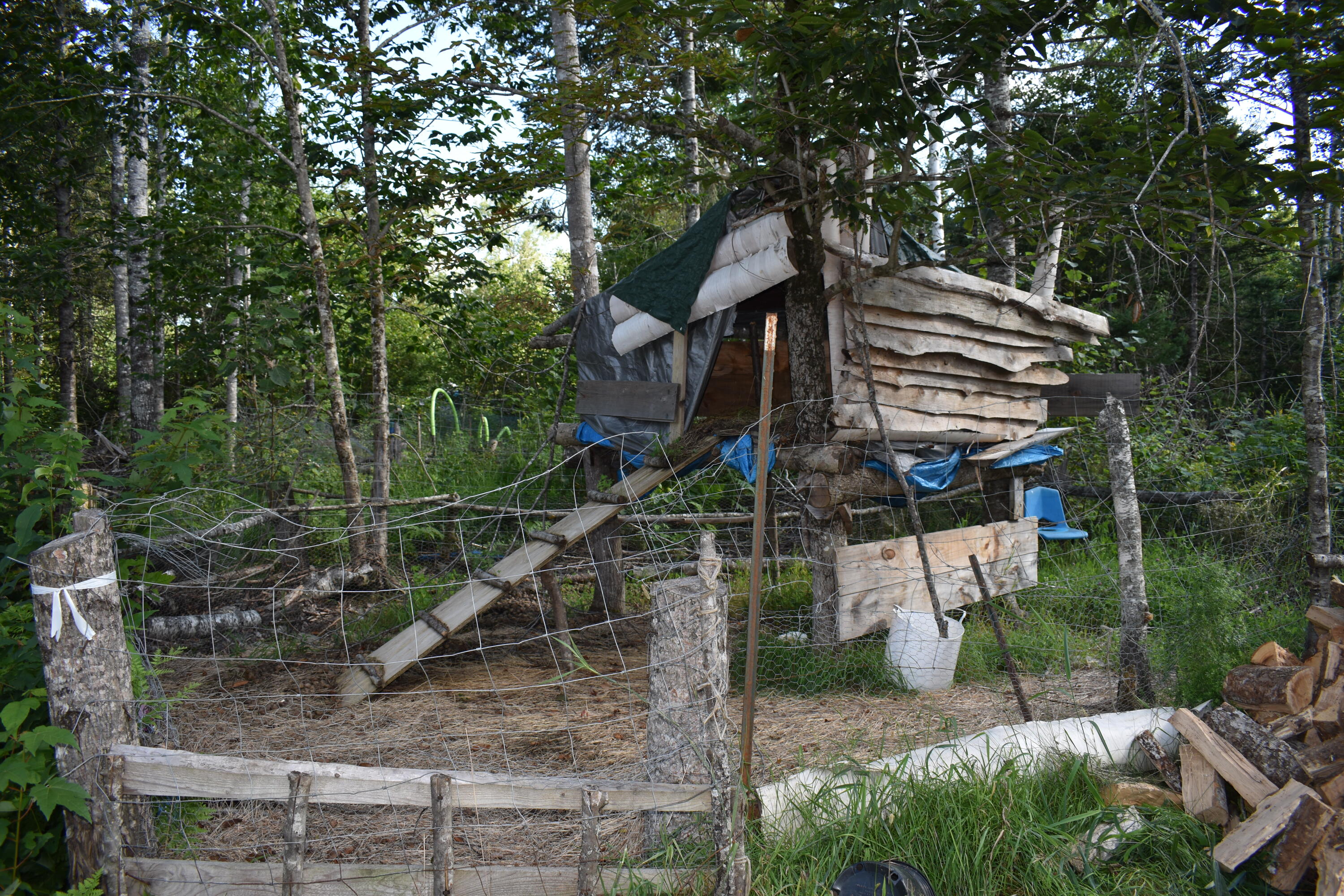 253 Pickle Ridge Road Springfield, ME 04487 - Photo 15 of 25 DSC_0372