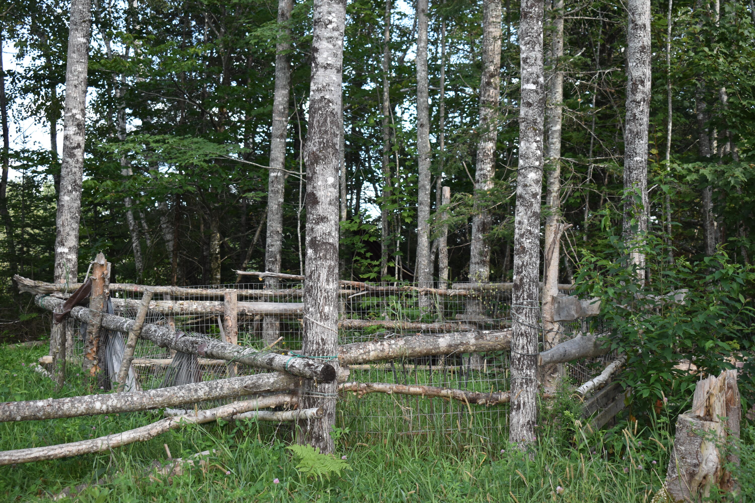 253 Pickle Ridge Road Springfield, ME 04487 - Photo 16 of 25 DSC_0373