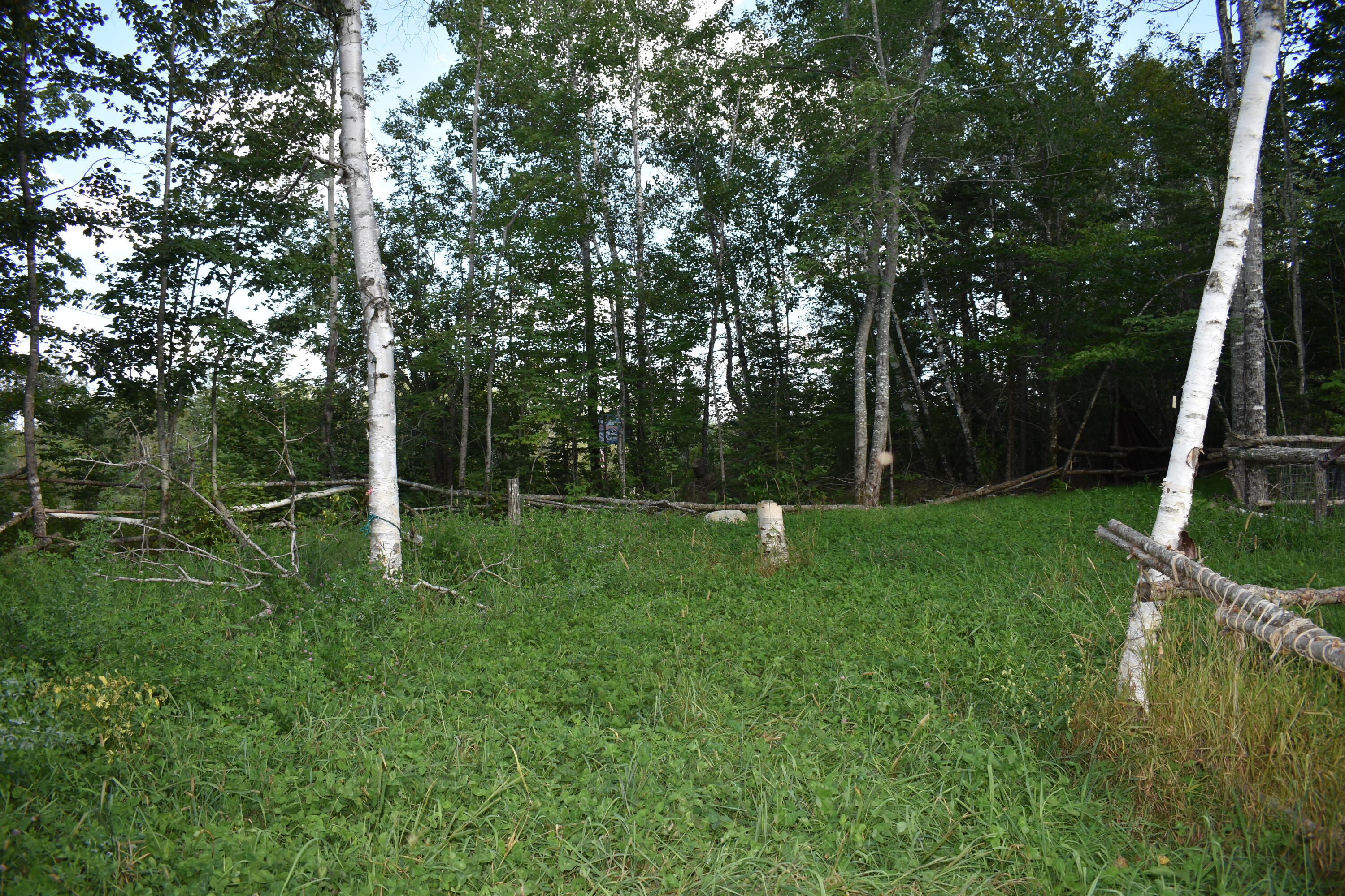 253 Pickle Ridge Road Springfield, ME 04487 - Photo 17 of 25 DSC_0374