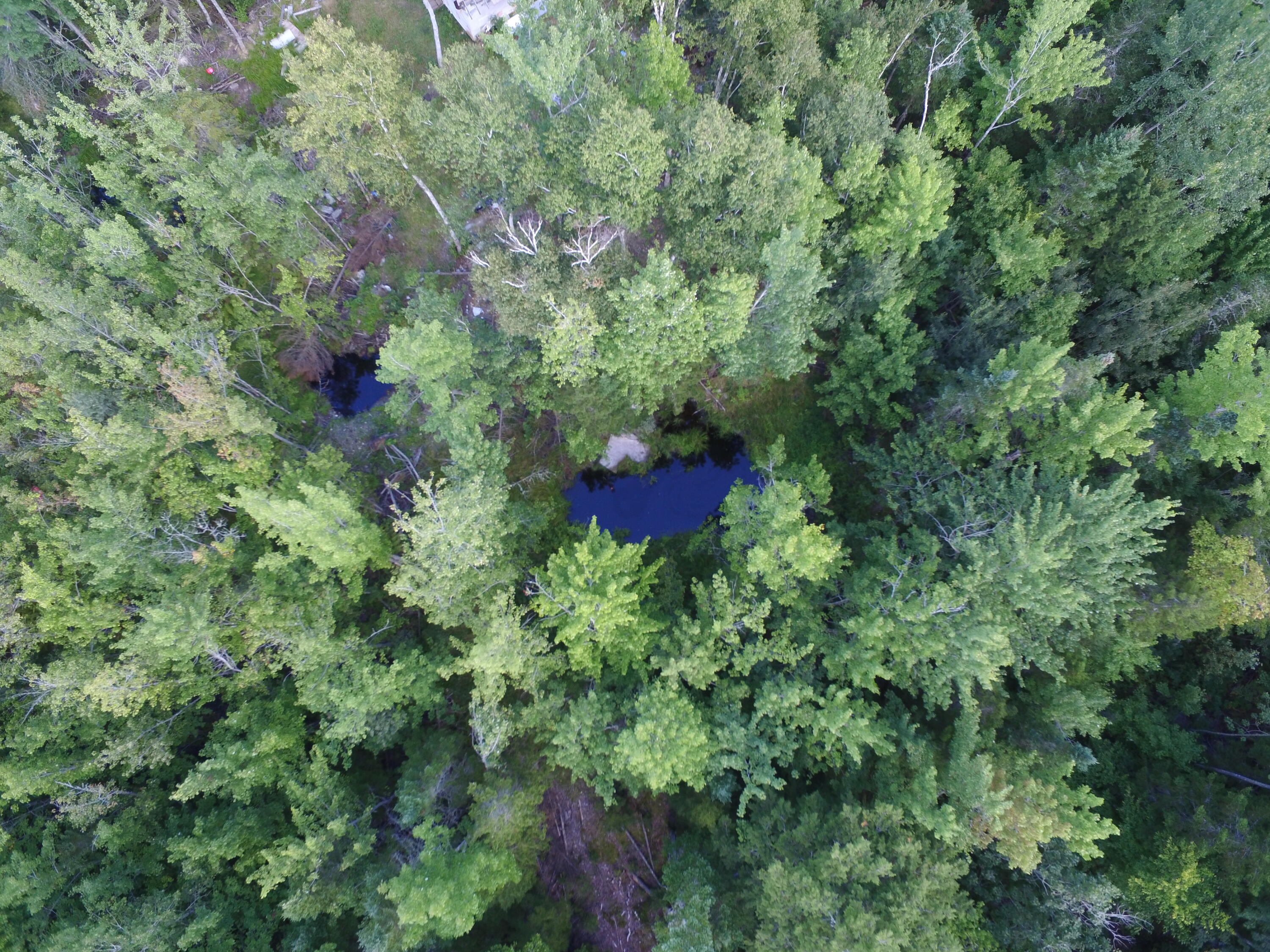 253 Pickle Ridge Road Springfield, ME 04487 - Photo 21 of 25 DJI_0034