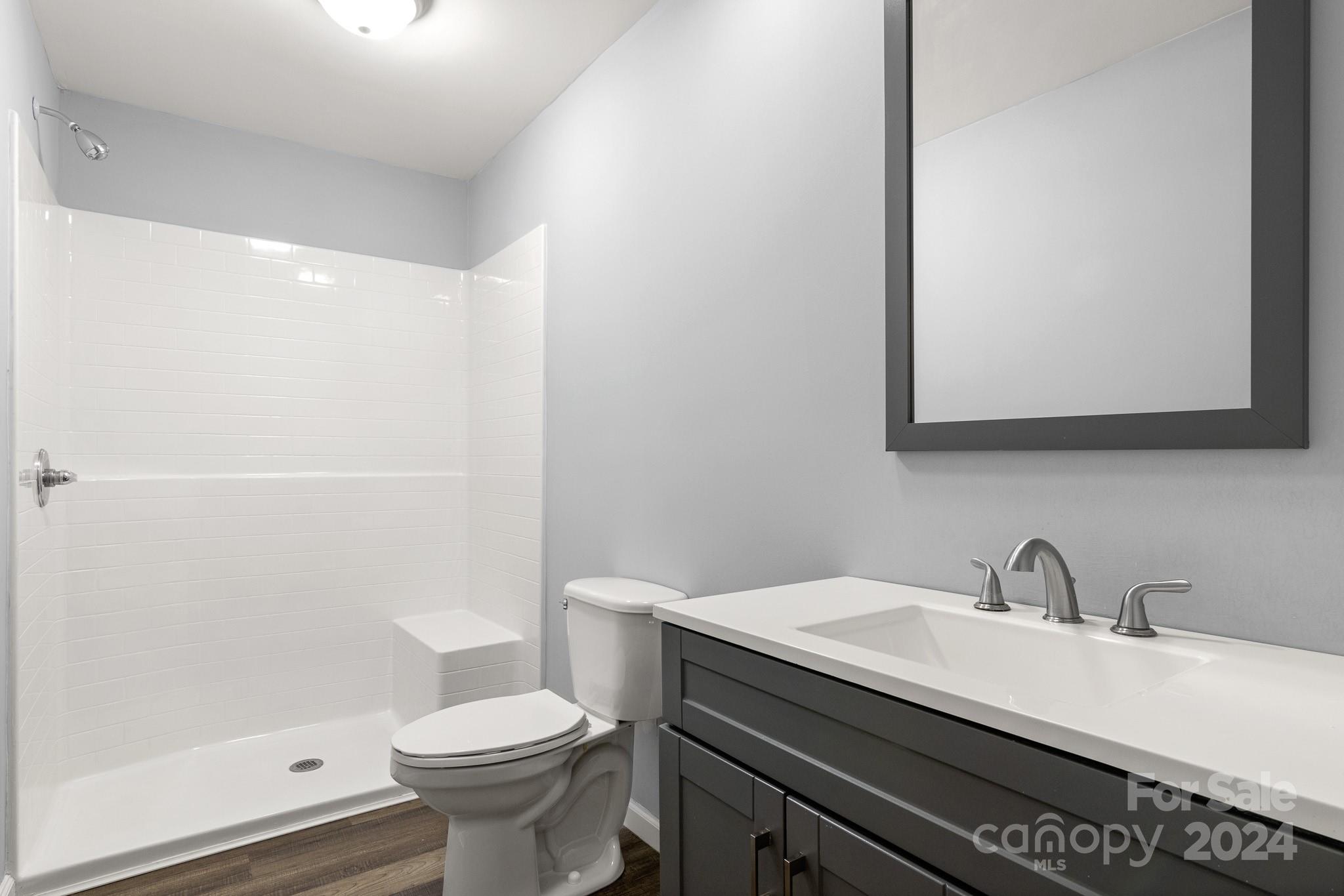233 Charlotte Street York, SC 29745 - Photo 19 of 26 a bathroom with a sink a toilet and a mirror