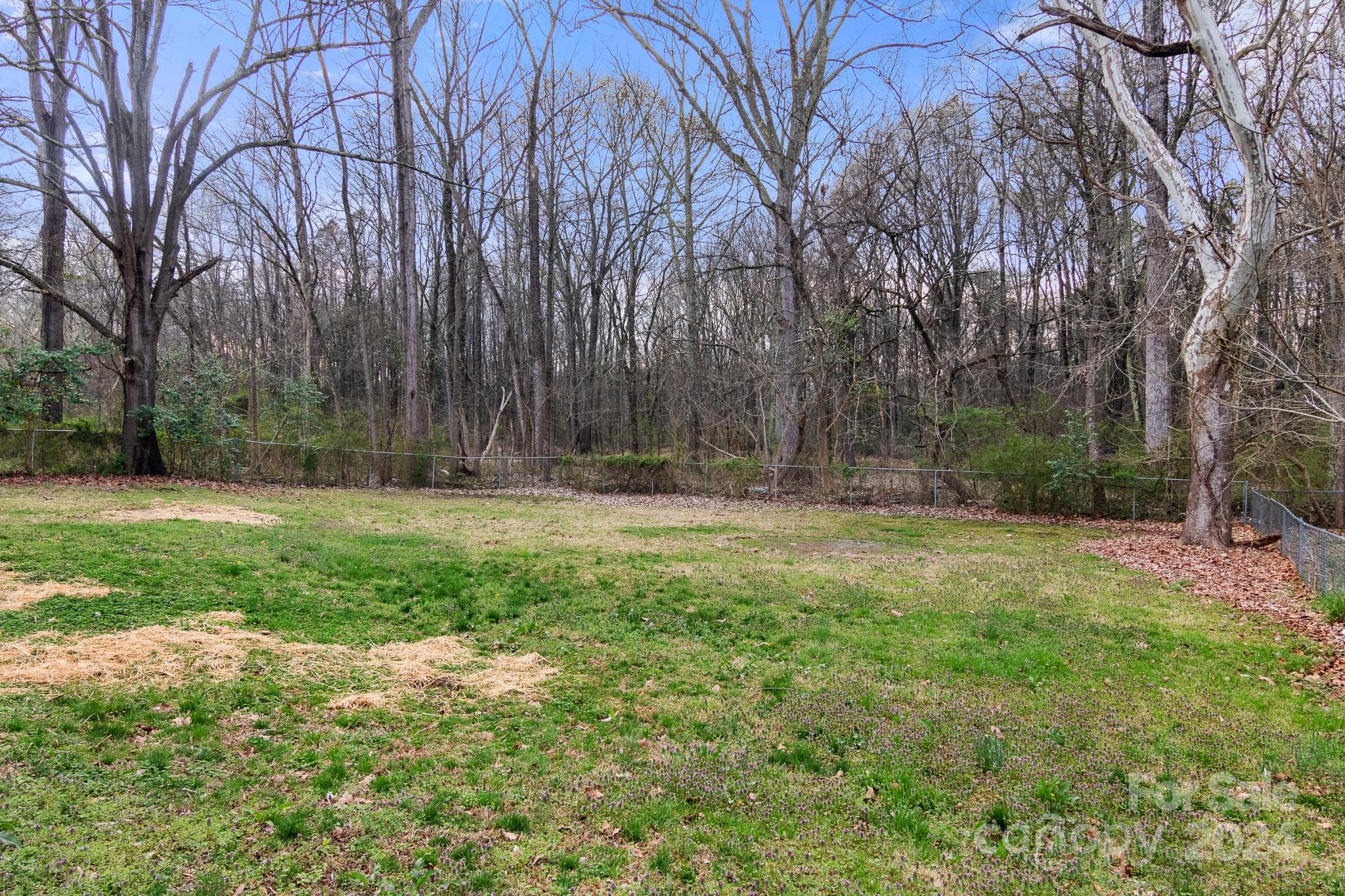 233 Charlotte Street York, SC 29745 - Photo 23 of 26 a view of backyard with green space