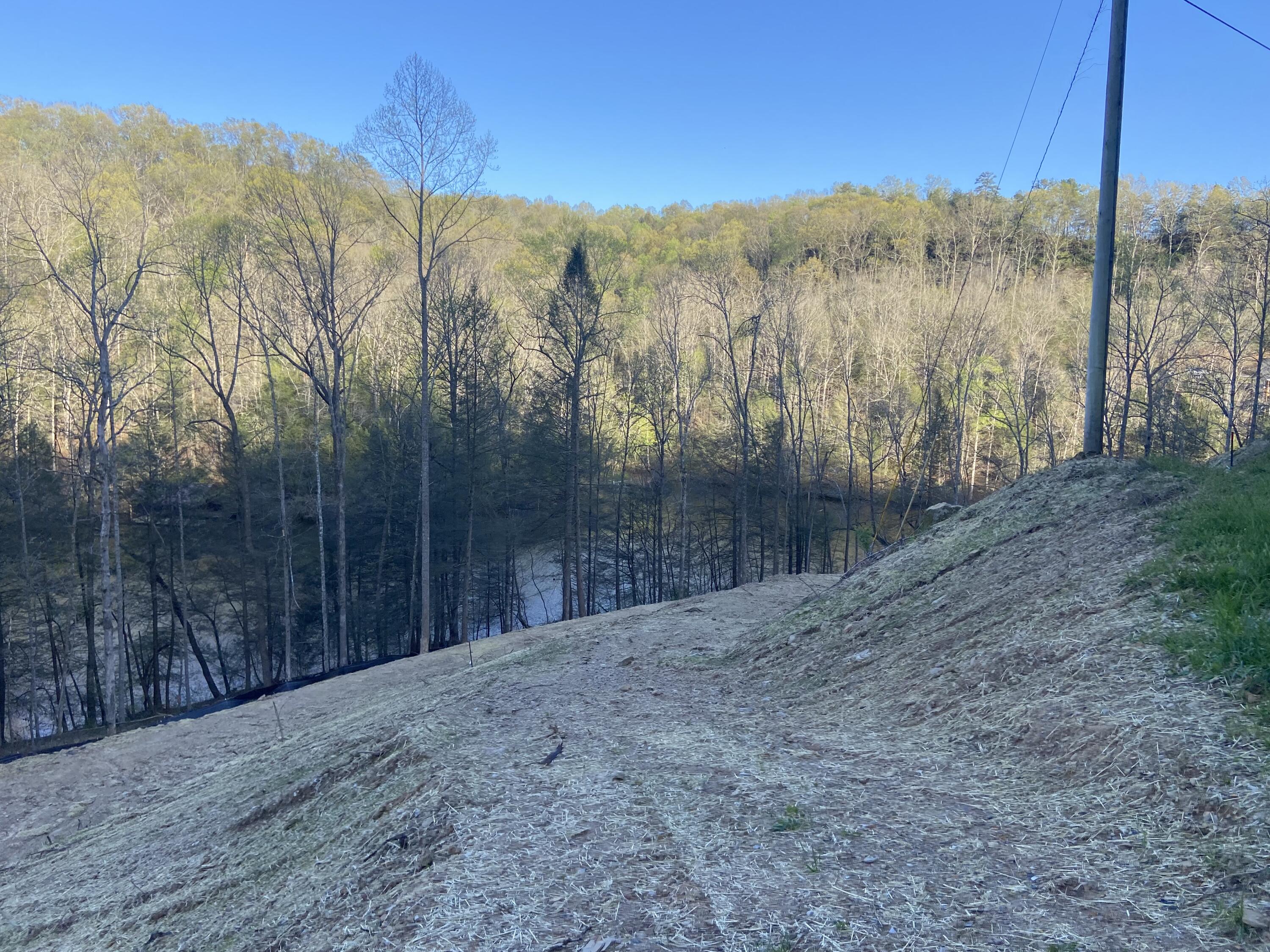 599 Cliffs Edge Road East Bernstadt, KY 40729 - Photo 5 of 10 IMG_4884