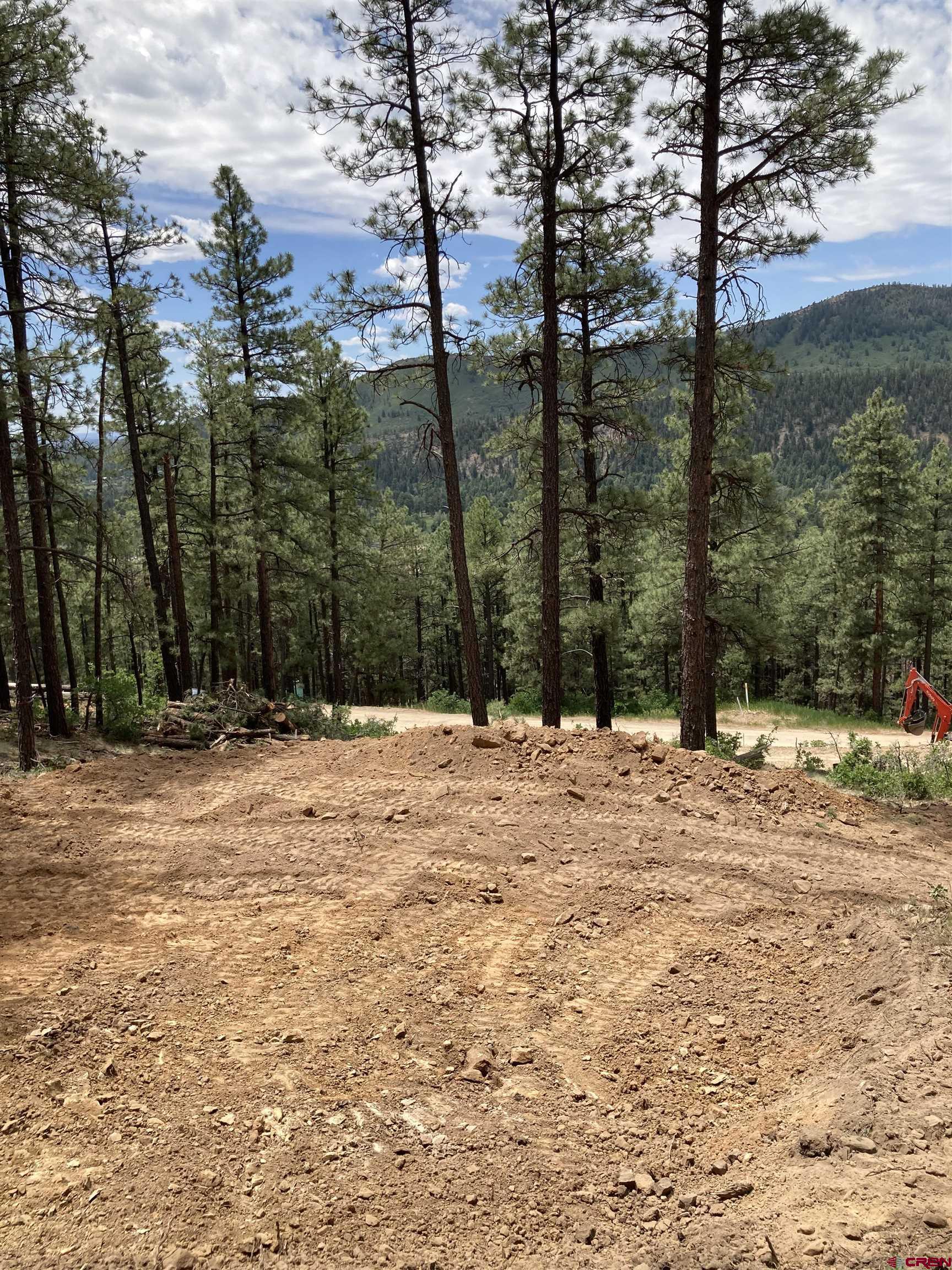 259 Deer Ridge Drive Bayfield, CO 81122 - Photo 12 of 13 a view of a yard with trees