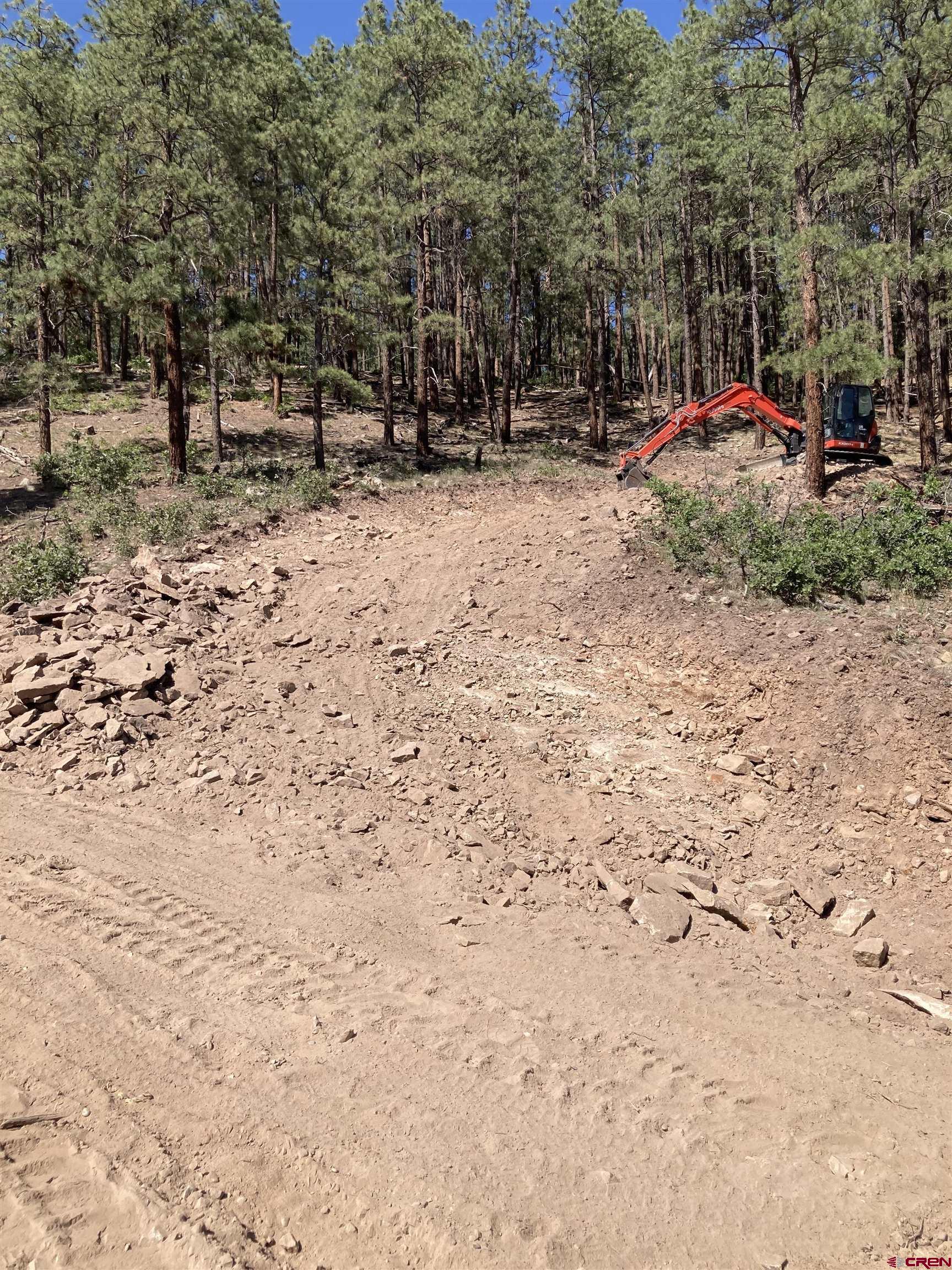 259 Deer Ridge Drive Bayfield, CO 81122 - Photo 13 of 13 a view of open space with shower and trees