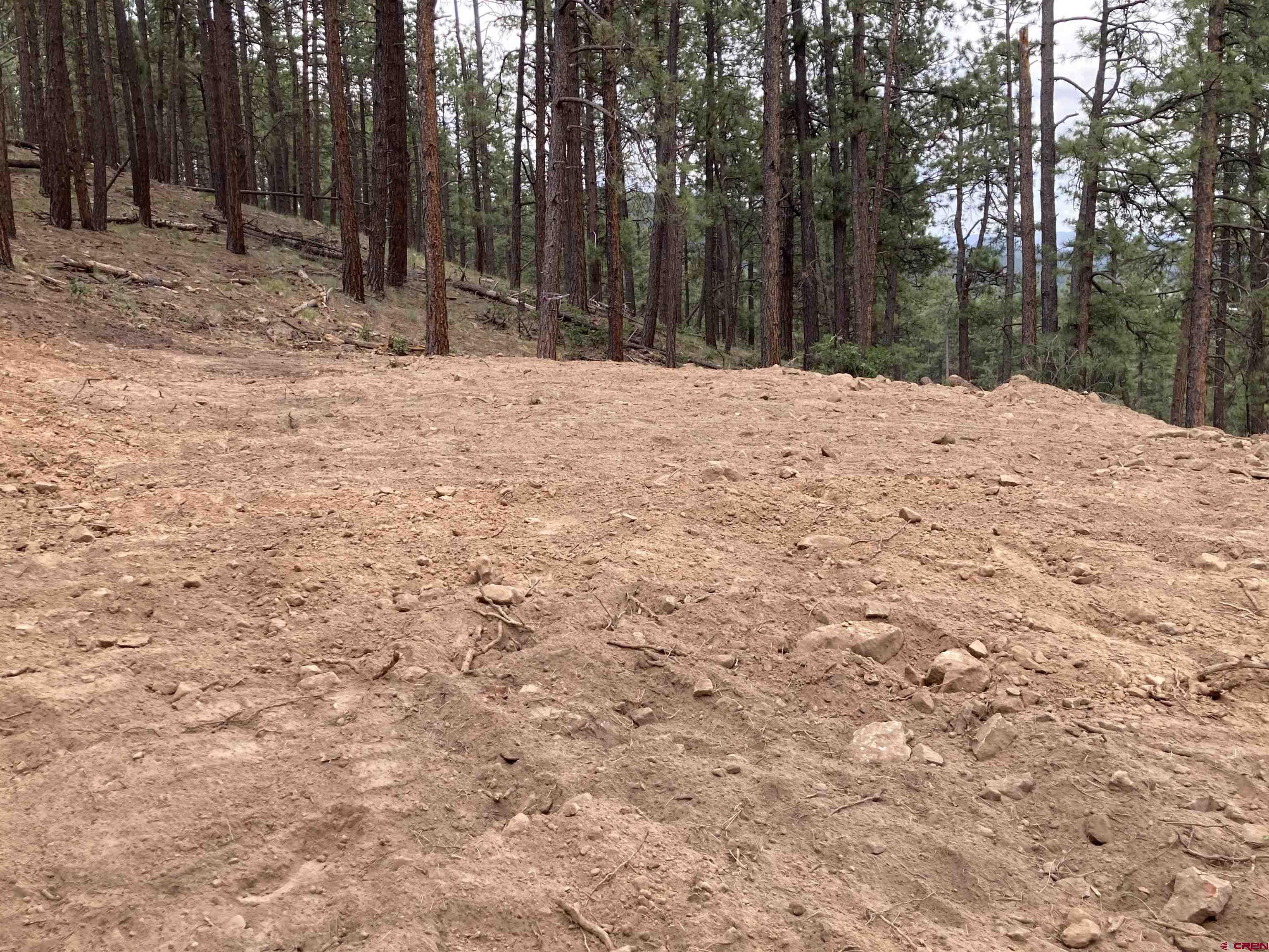 259 Deer Ridge Drive Bayfield, CO 81122 - Photo 5 of 9