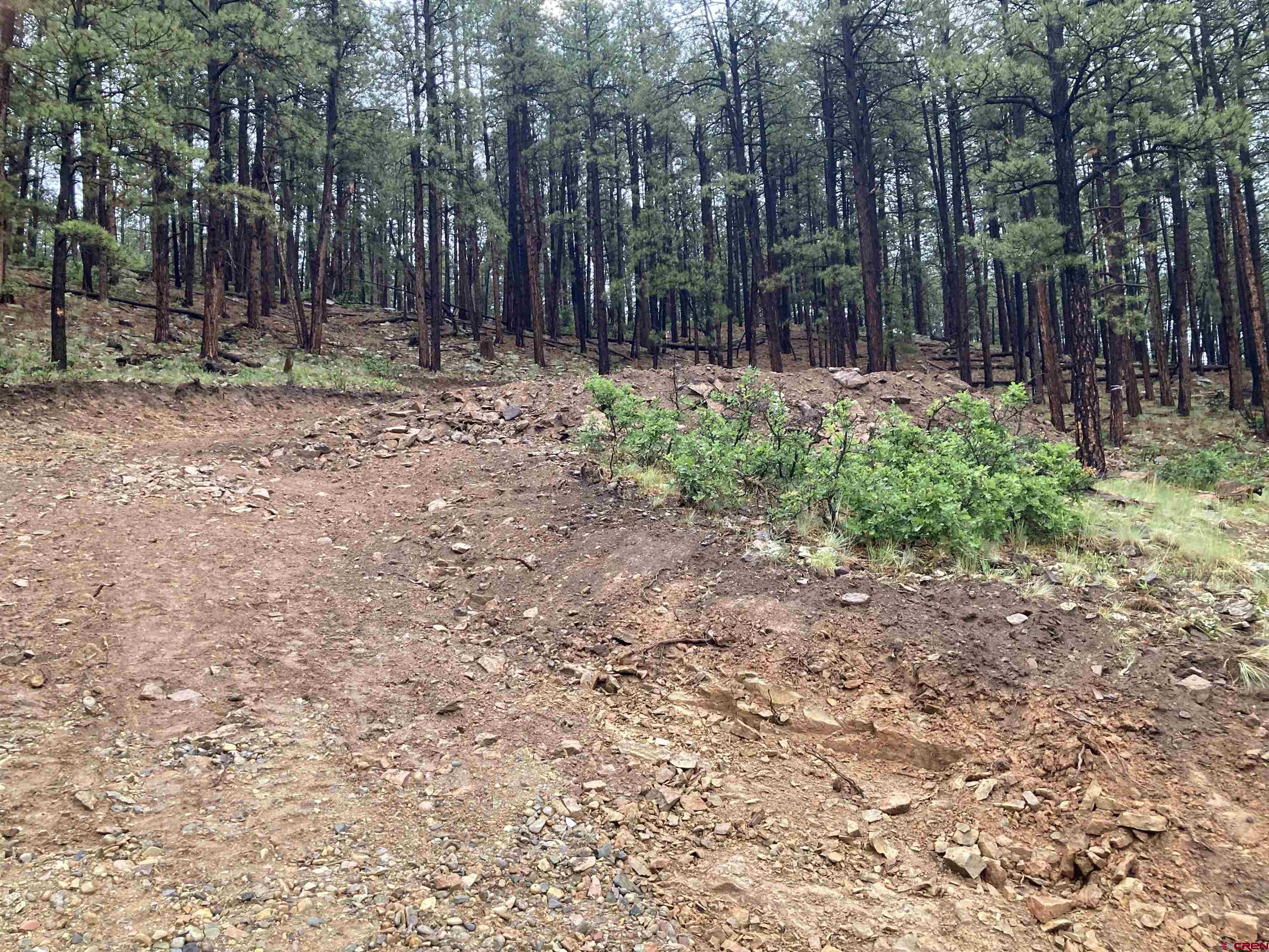 259 Deer Ridge Drive Bayfield, CO 81122 - Photo 6 of 13 a view of outdoor space with trees
