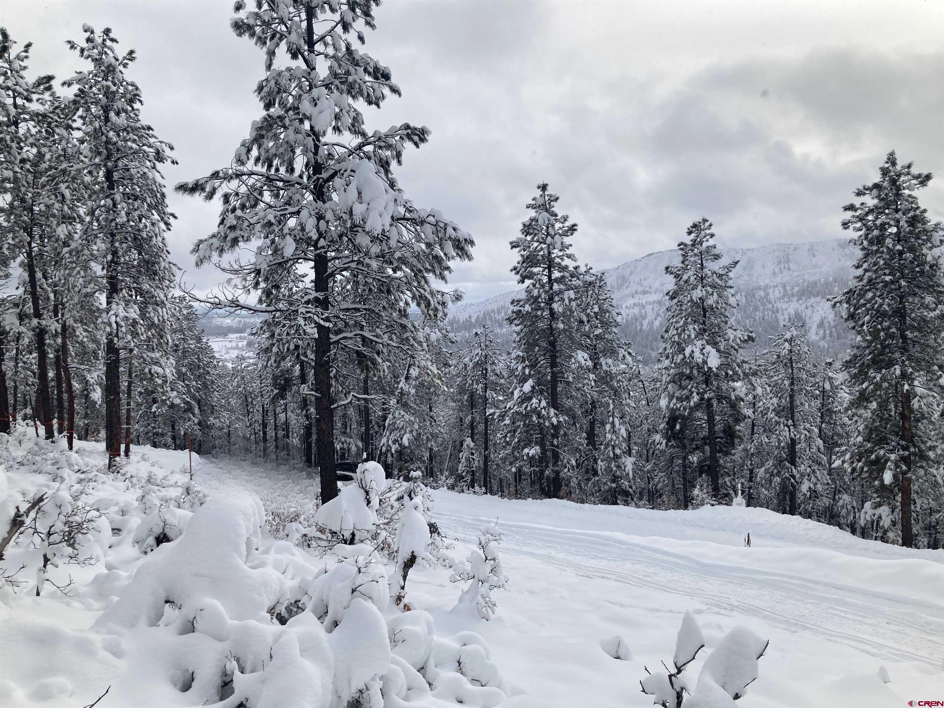 259 Deer Ridge Drive Bayfield, CO 81122 - Photo 7 of 13 a view of a snow with trees in the background