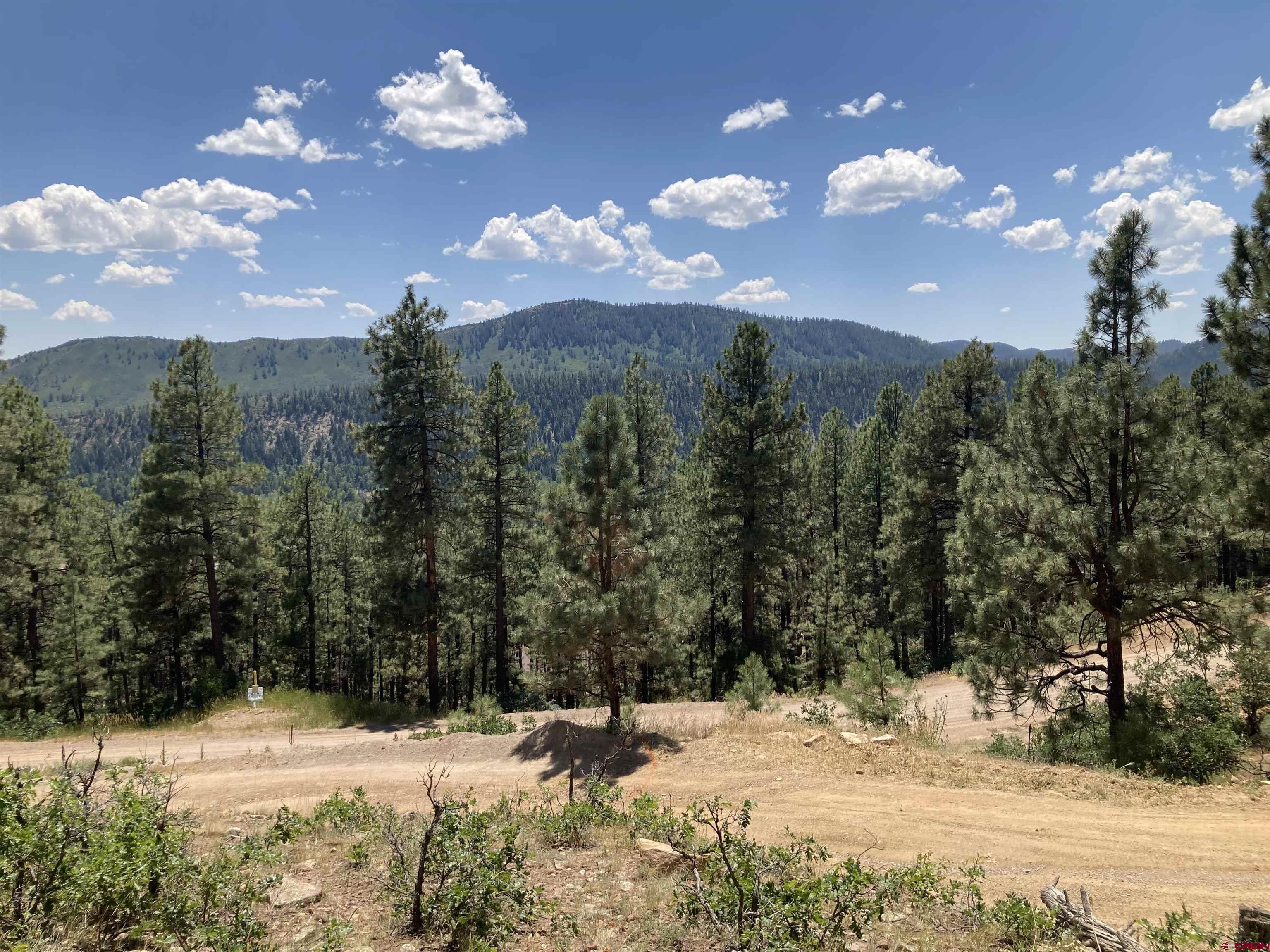 259 Deer Ridge Drive Bayfield, CO 81122 - Photo 8 of 9