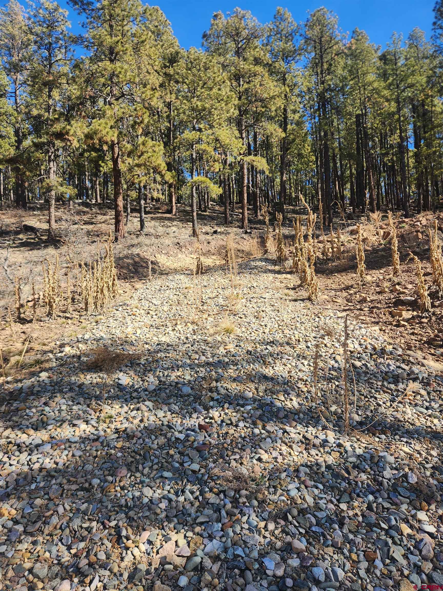 259 Deer Ridge Drive Bayfield, CO 81122 - Photo 10 of 13 a view of road with trees