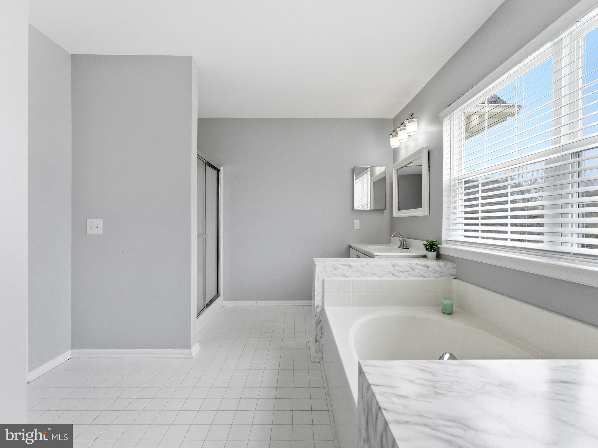 101 Weatherhill Court Hainesport, NJ 08036 - Photo 21 of 41 a bathroom with a tub a sink and a window
