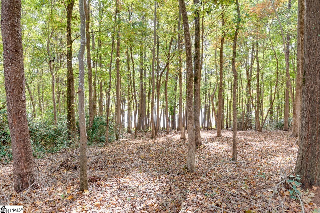 236 Lookover Drive Anderson, SC 29621 - Photo 26 of 36 Gallery Image 26