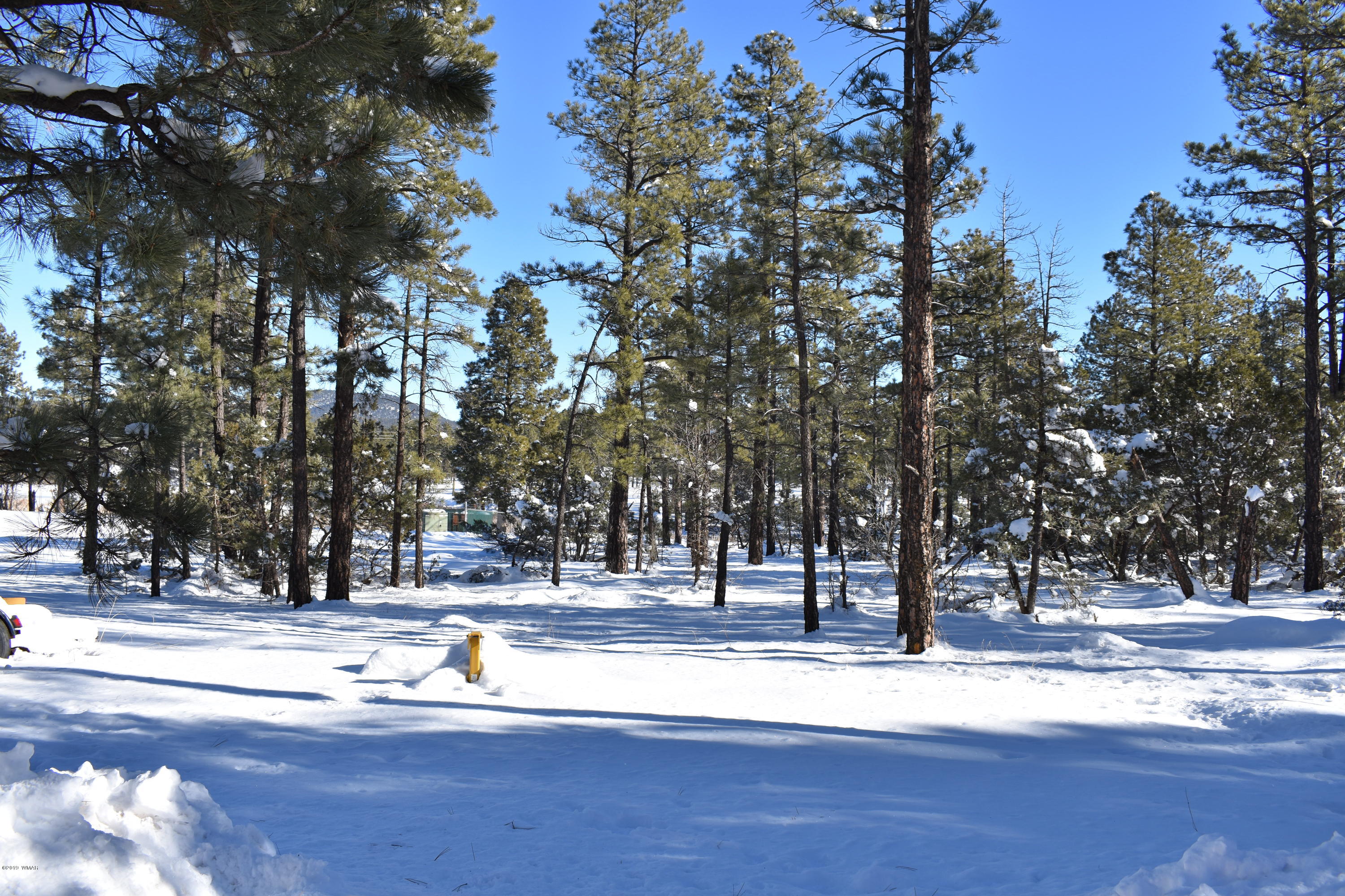 207 J Jacks Road Lakeside, AZ 85929 - Photo 1 of 5