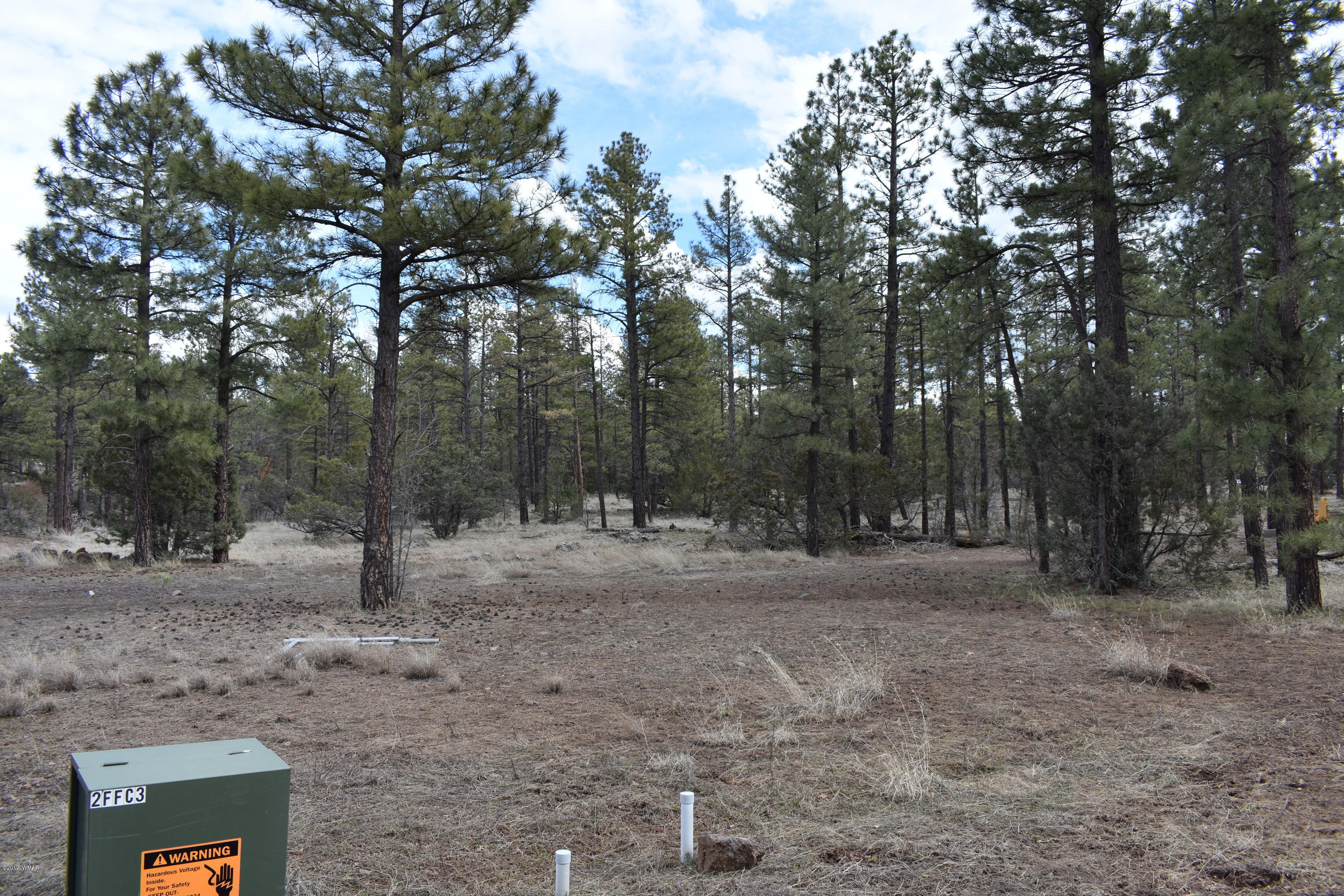 207 J Jacks Road Lakeside, AZ 85929 - Photo 3 of 5