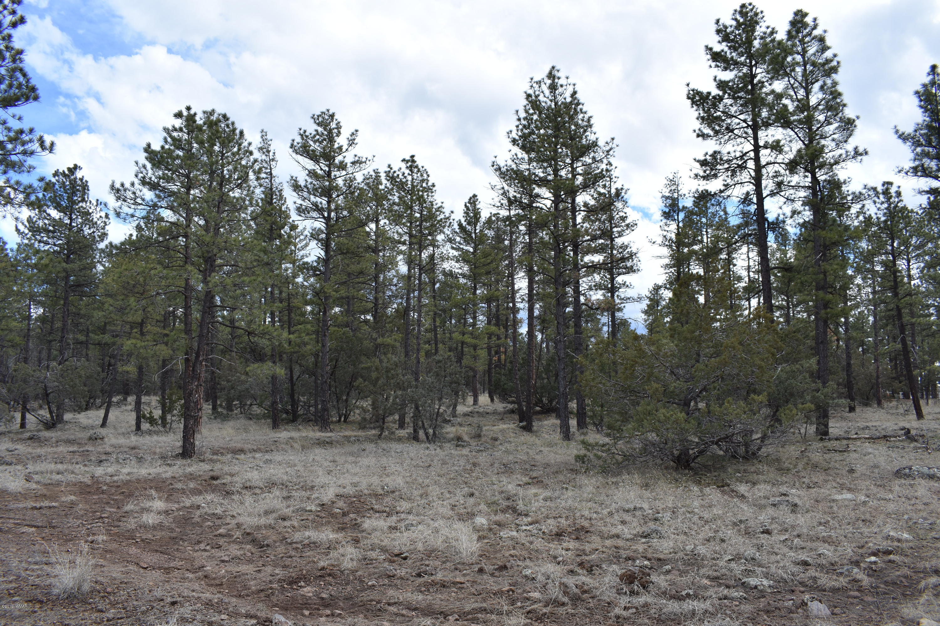 207 J Jacks Road Lakeside, AZ 85929 - Photo 4 of 5