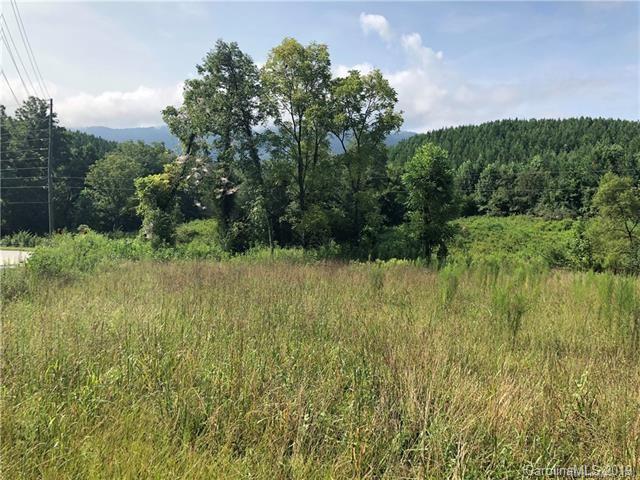999 Holbert Cove Road Saluda, NC 28773 - Photo 12 of 14
