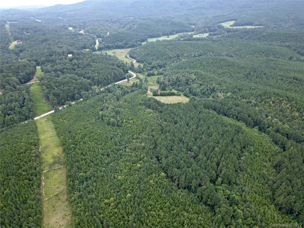 999 Holbert Cove Road Saluda, NC 28773 - Photo 6 of 14 a view of a green yard with lots of bushes