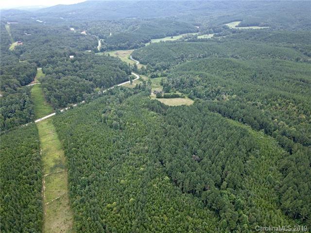 999 Holbert Cove Road Saluda, NC 28773 - Photo 7 of 14 a view of a green field with lots of bushes