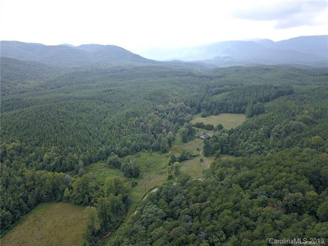 999 Holbert Cove Road Saluda, NC 28773 - Photo 9 of 14 a view of a forest with mountains in the background