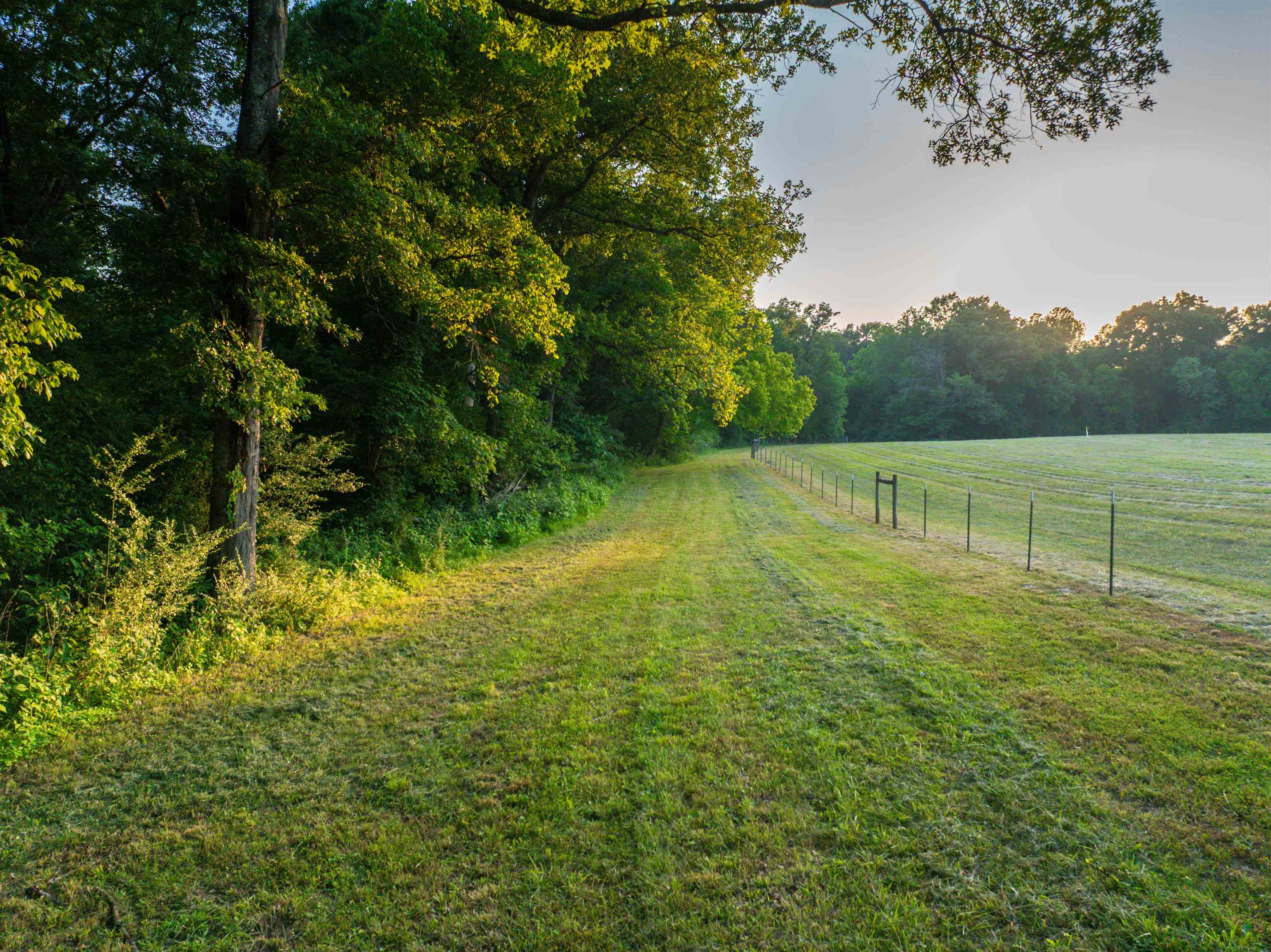 Tbd Tbd Bridgeport Road Arvonia, VA 23004 - Photo 21 of 60 Gallery Image 21