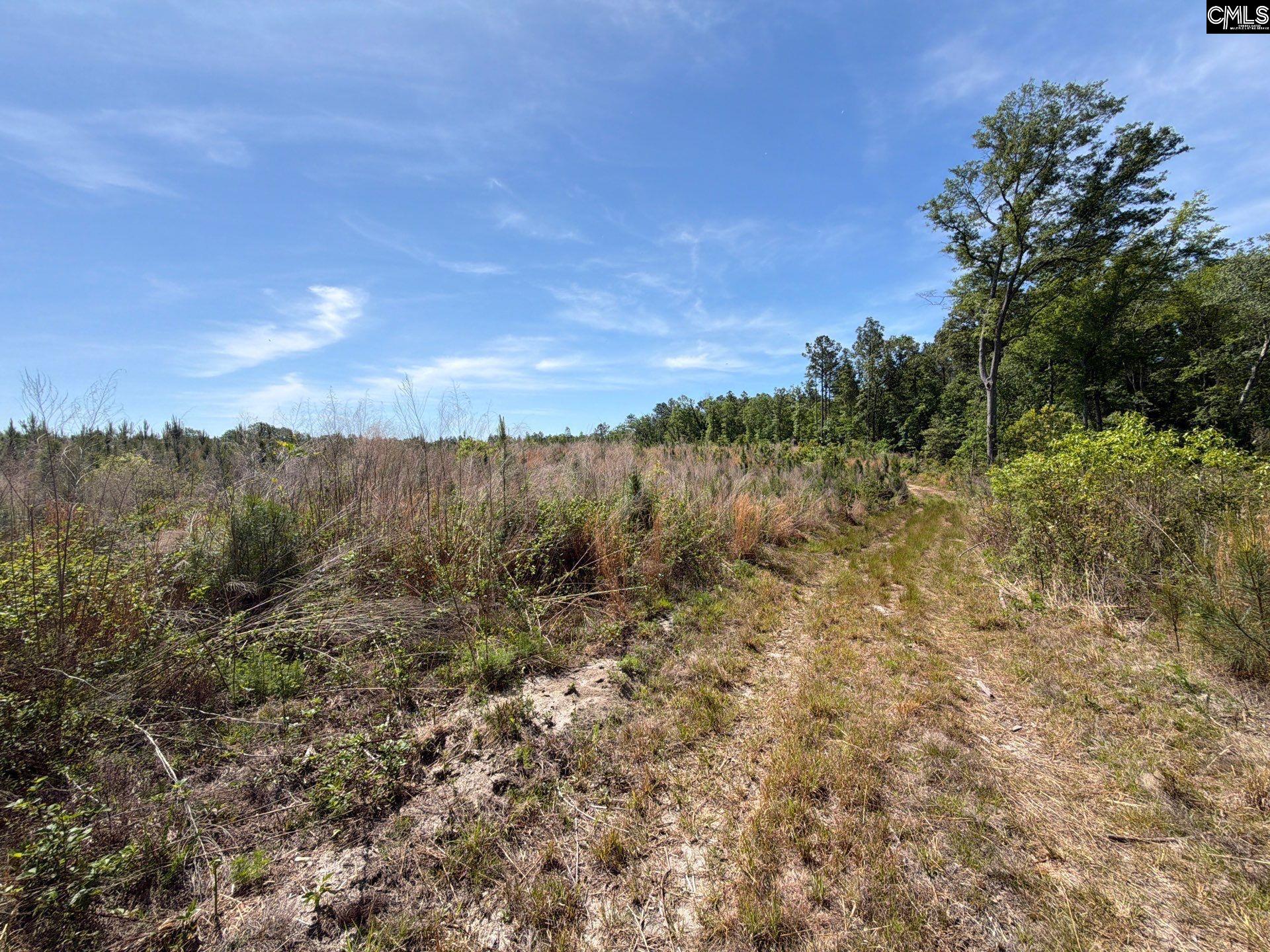 1 Holstein Road Monetta, SC 29105 - Photo 16 of 36
