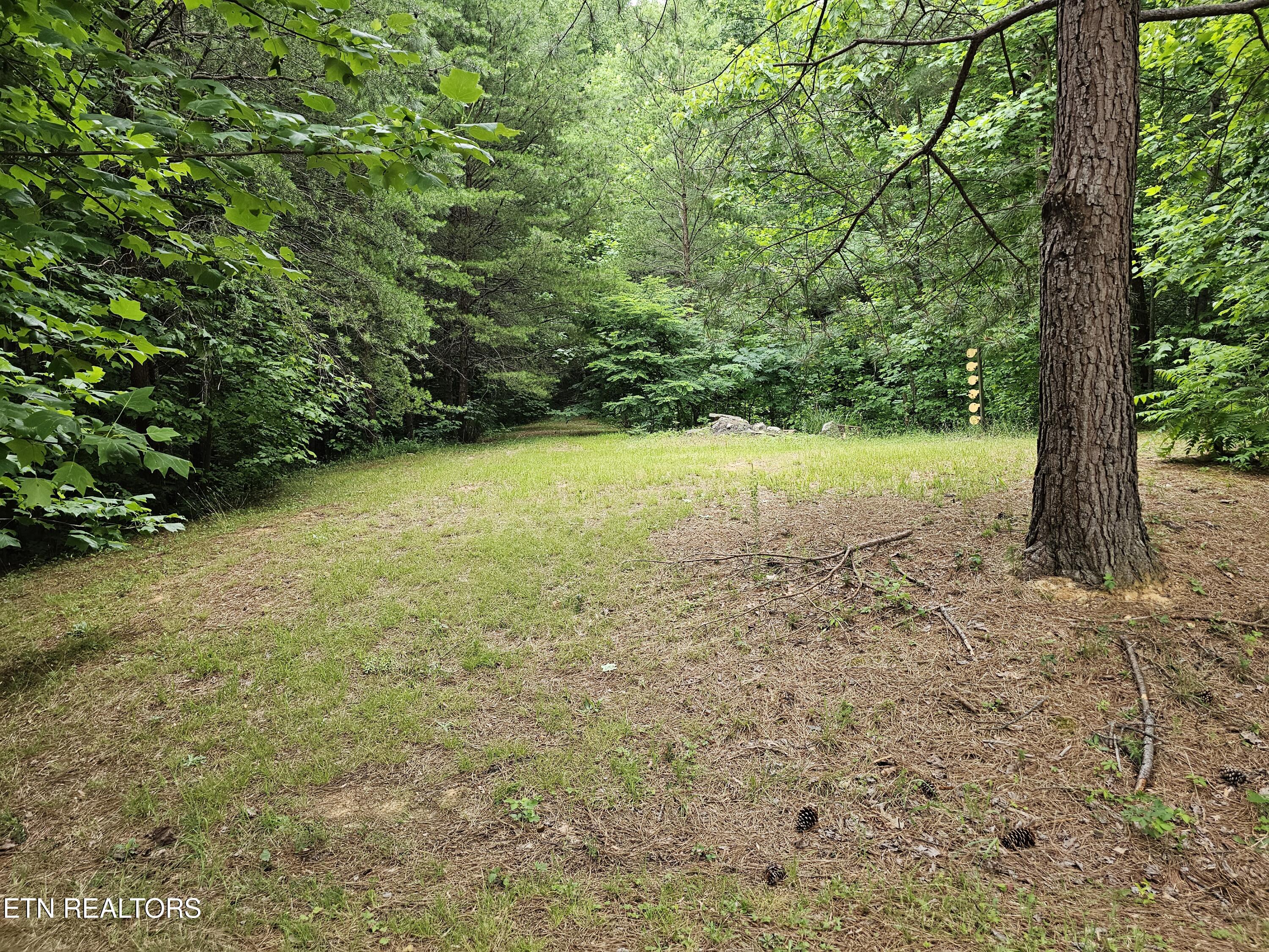 925 Tweed Springs Road Greeneville, TN 37743 - Photo 39 of 53 20260618_173132