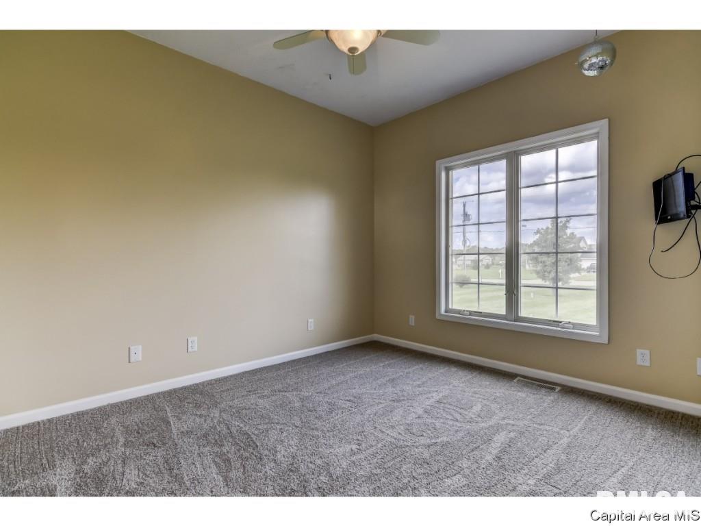 24751 Brookwood Hills Road Athens, IL 62613 - Photo 19 of 28 Gallery Image 19