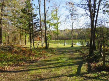 0 Dunham Road Pleasantville, PA 16341 - Photo 2 of 37
