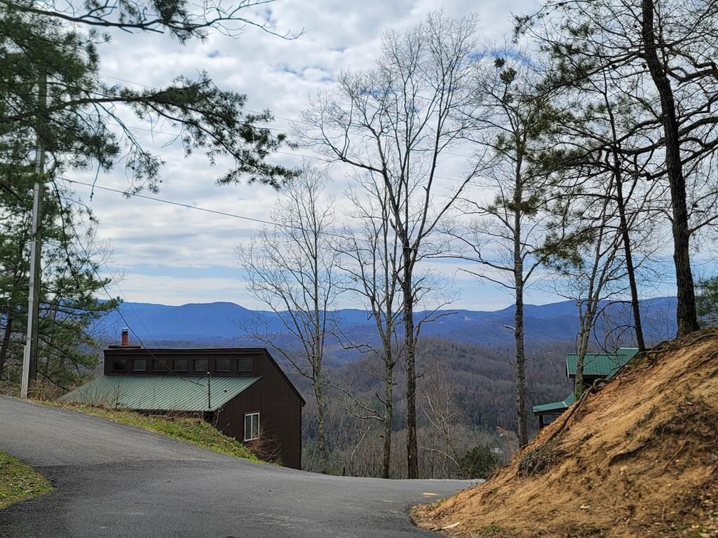 36 Blue Tick Way Sevierville, TN 37876 - Photo 22 of 25