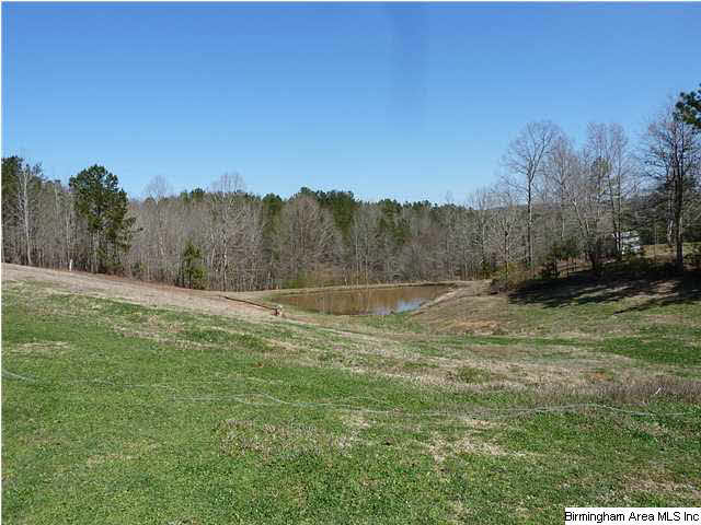 1010 Mooney Road Columbiana, AL 35051 - Photo 7 of 24