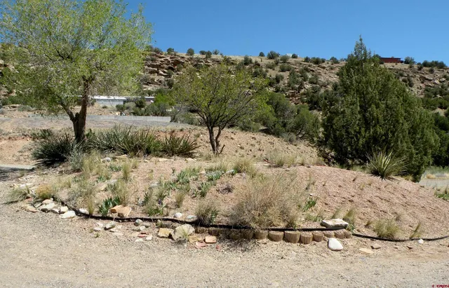 a view of a yard covered with snow
