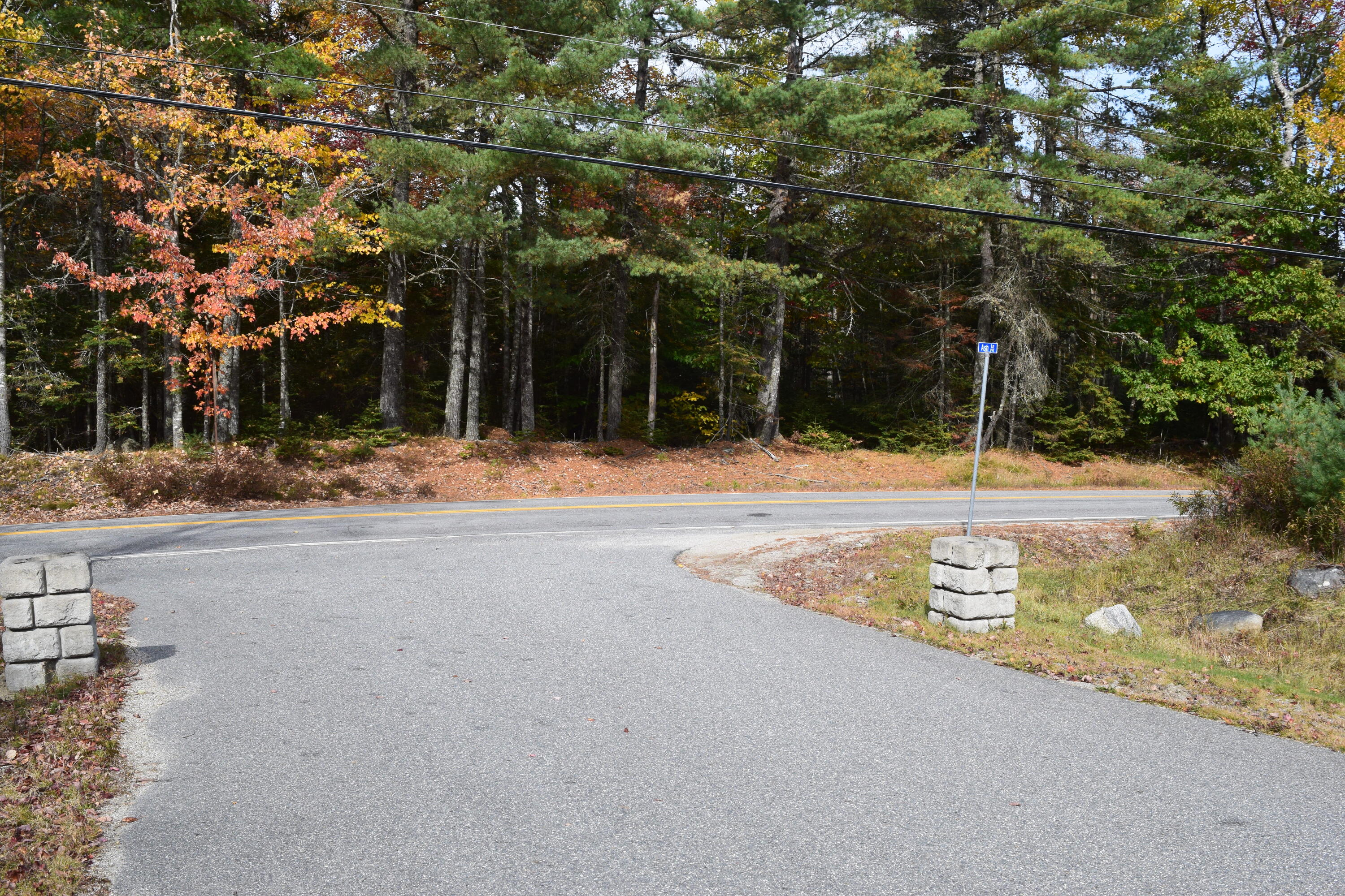 Lot 11 Surry Ridge Surry, ME 04684 - Photo 2 of 14 DSC_0526