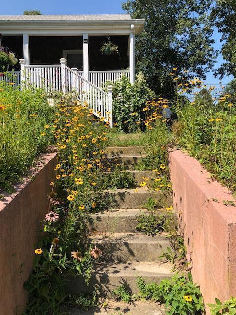 90 West Tisbury Road Edgartown, MA 02539 - Photo 11 of 46 a view of a garden with a flower garden
