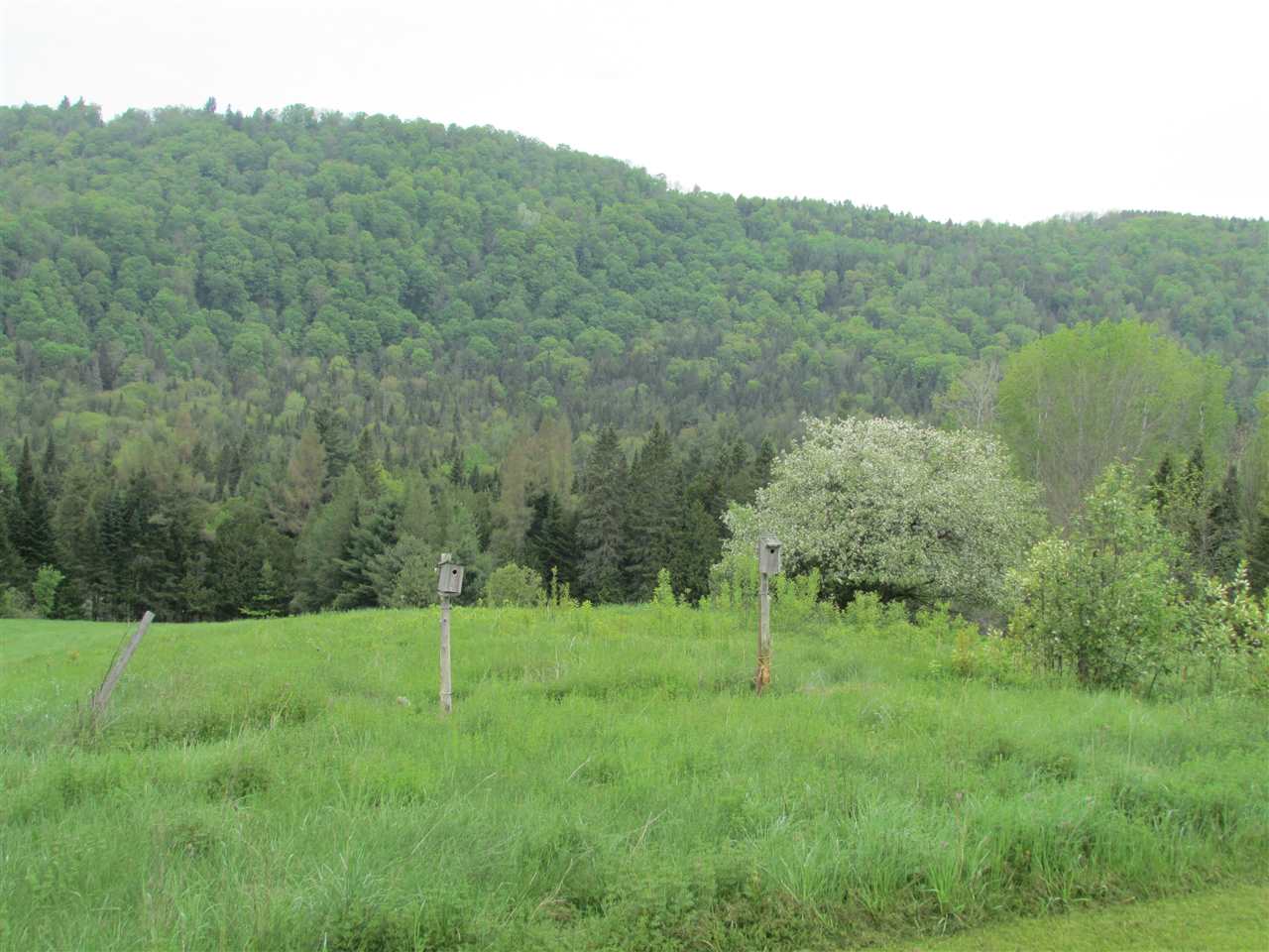 1776 Creek Road Albany, VT 05845 - Photo 33 of 39