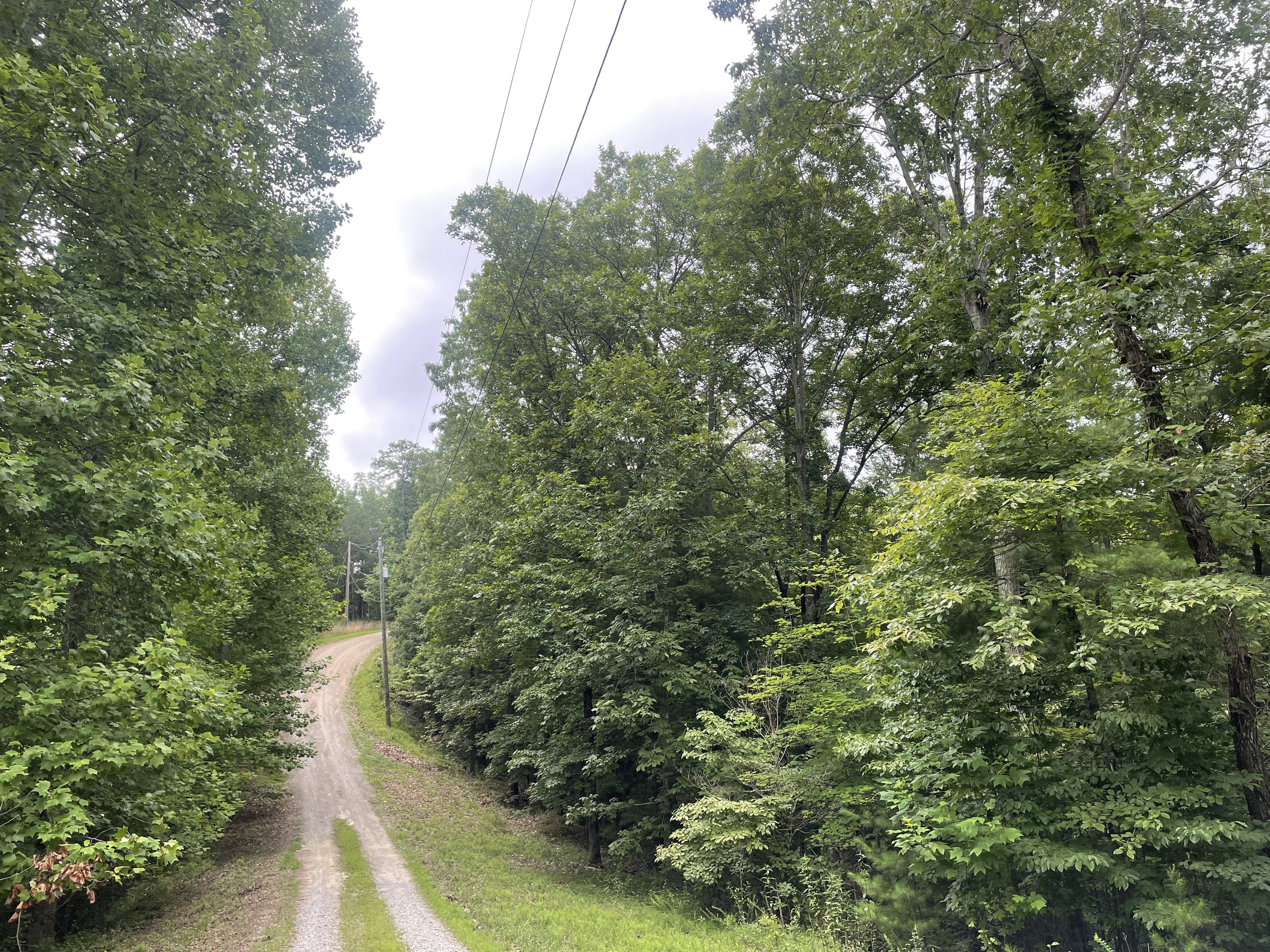 936 Aurora Lane Ranger, GA 30734 - Photo 3 of 32 a view of a pathway of a park