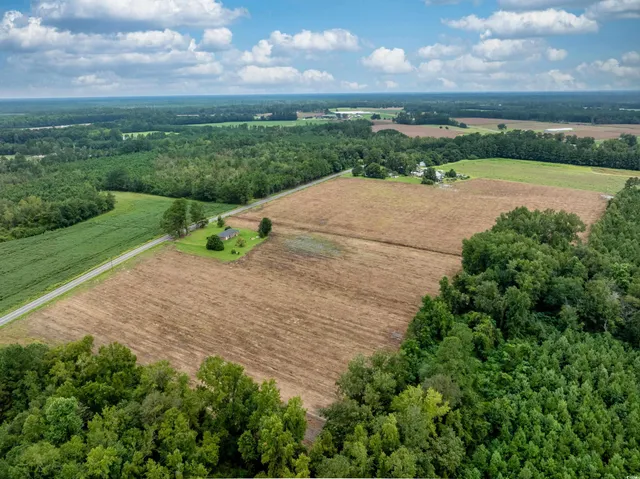 $49,500 | Tbd Lot B1 Tbd Road, Nichols, SC 29581