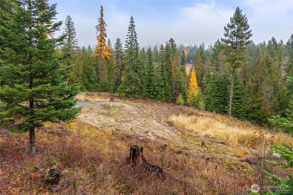 a view of a yard with trees in the background