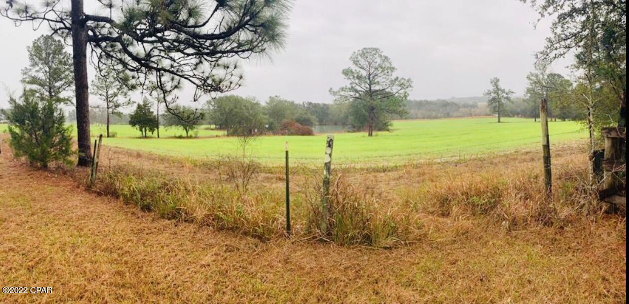 1695 Malcolm Taylor Road Bonifay, FL 32425 - Photo 10 of 15 Gallery Image 10