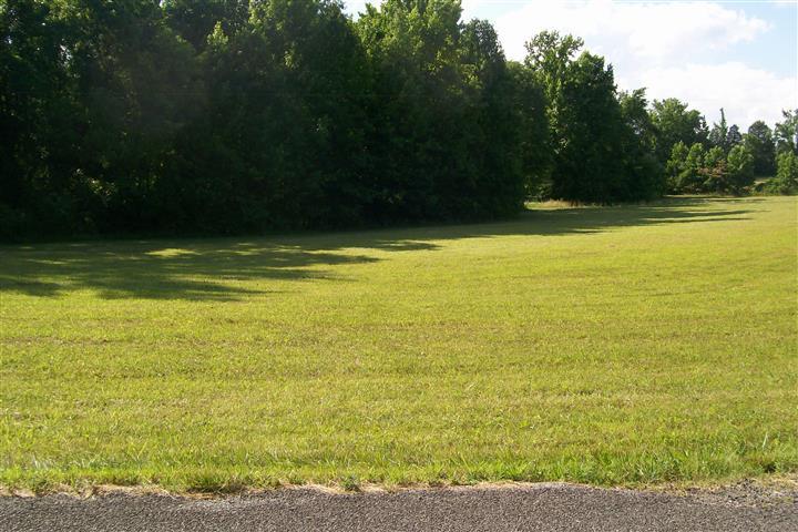 273 Pates Ford Road Walling, TN 38587 - Photo 11 of 21 Gallery Image 11