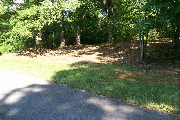 273 Pates Ford Road Walling, TN 38587 - Photo 13 of 21 Gallery Image 13