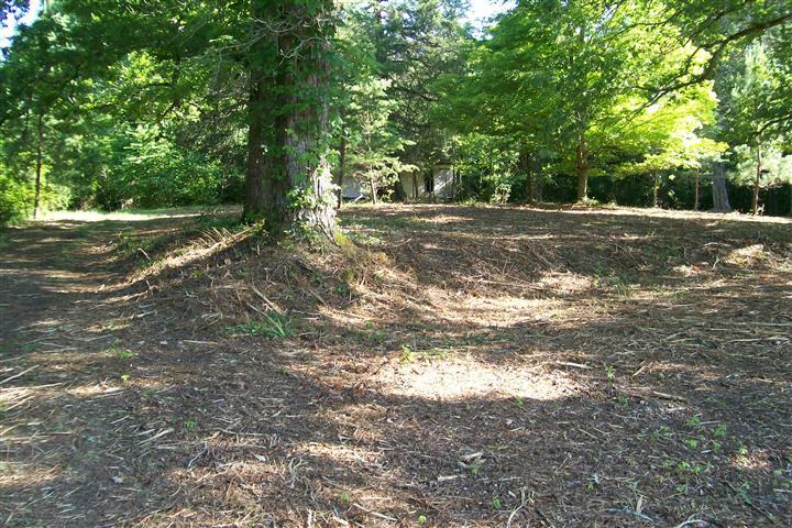 273 Pates Ford Road Walling, TN 38587 - Photo 17 of 21 Gallery Image 17
