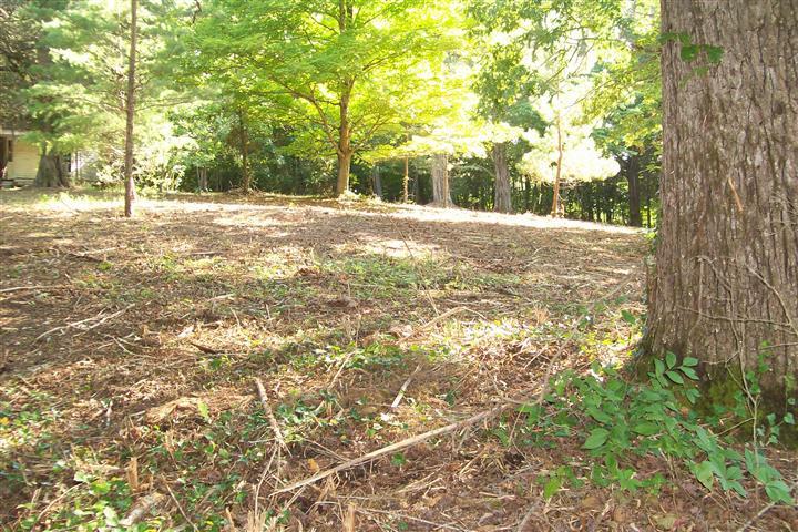273 Pates Ford Road Walling, TN 38587 - Photo 19 of 21 Gallery Image 19